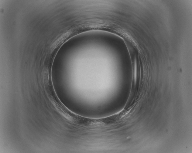 X0000073450397200608041033