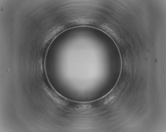 X0000073450398200608041033