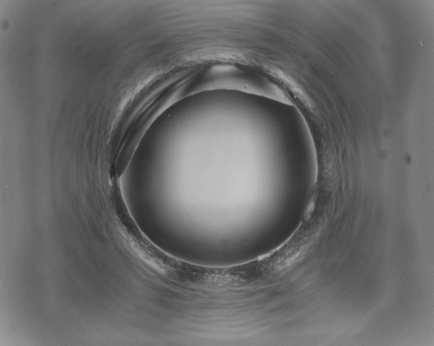 X0000073450399200608041033