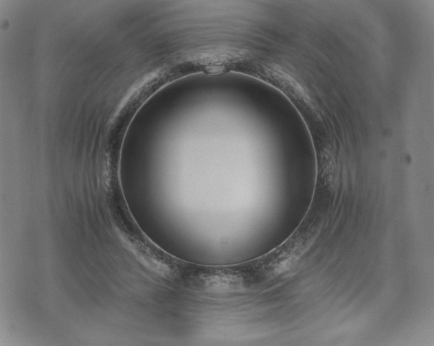 X0000073450400200608041033