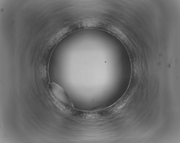 X0000073450401200608041033