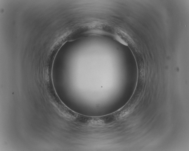 X0000073450403200608041033