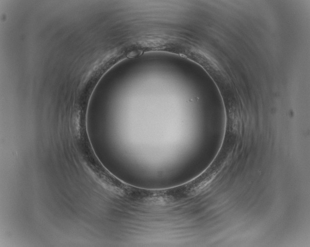 X0000073450404200608041033