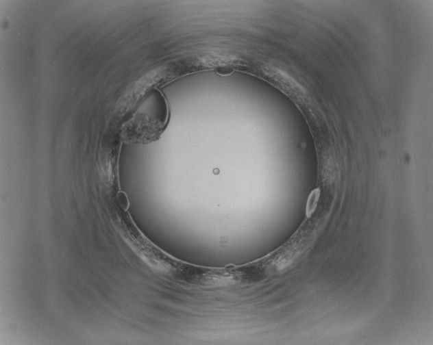 X0000073450405200608041033