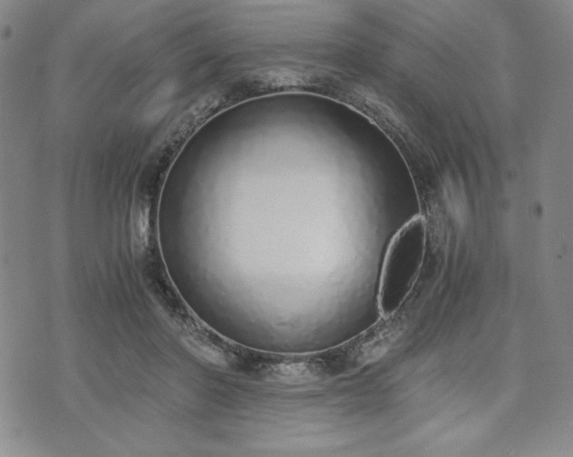 X0000073450406200608041033