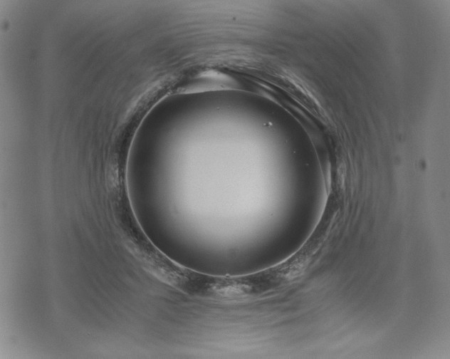 X0000073450407200608041033