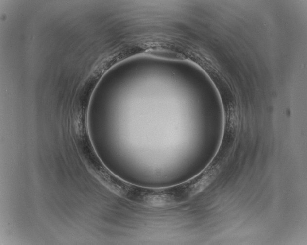 X0000073450408200608041033