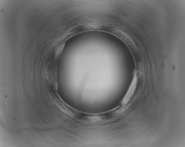 X0000073450409200608041033