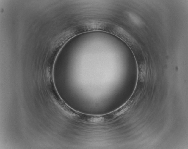 X0000073450410200608041032