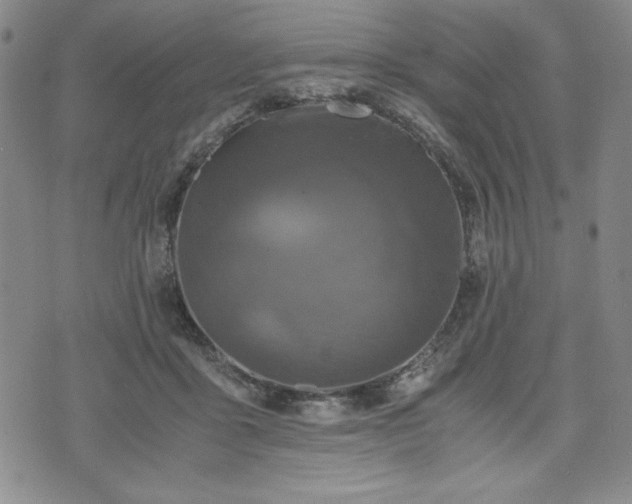 X0000073450411200608041032