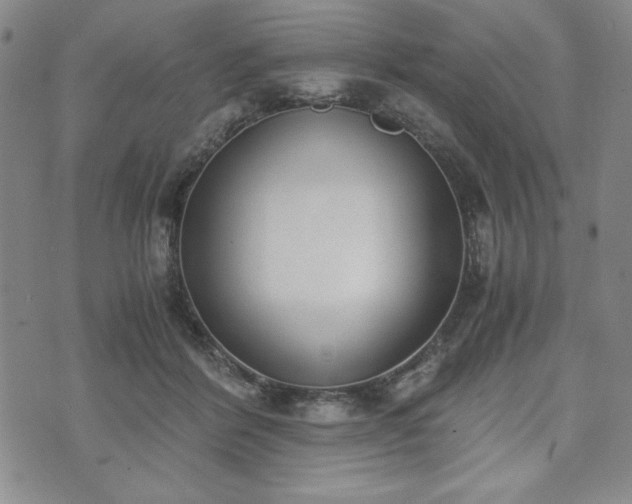 X0000073450412200608041032