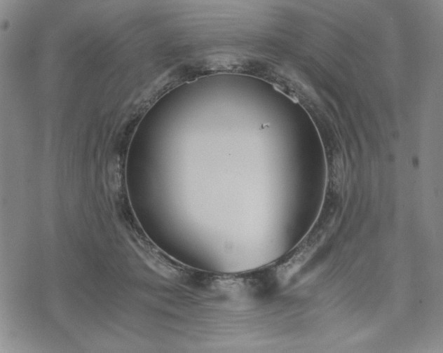 X0000073450413200608041032