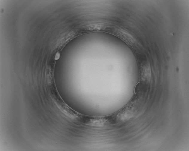 X0000073450414200608041032