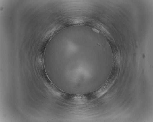 X0000073450415200608041032