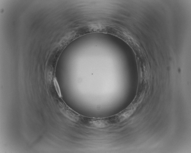 X0000073450417200608041032