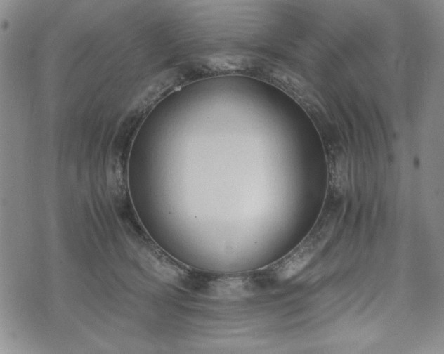 X0000073450418200608041032