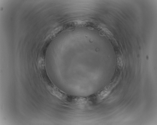 X0000073450419200608041032