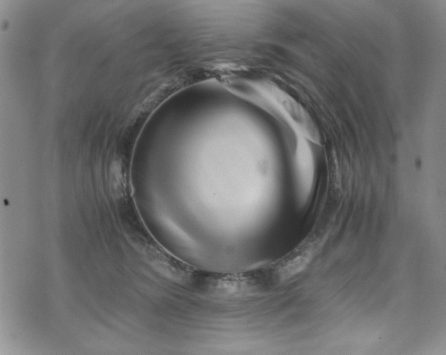 X0000073450420200608041032