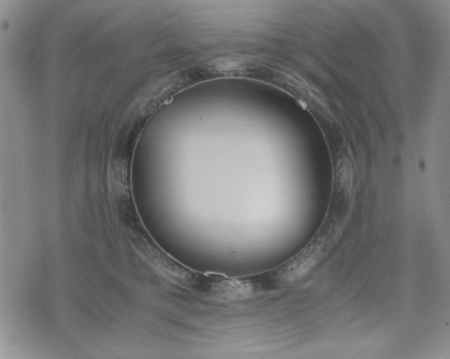 X0000073450421200608041032