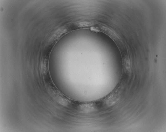 X0000073450422200608041032