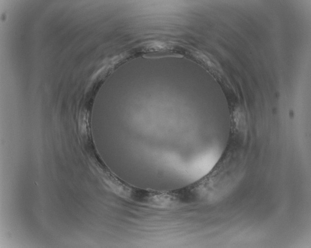 X0000073450423200608041032