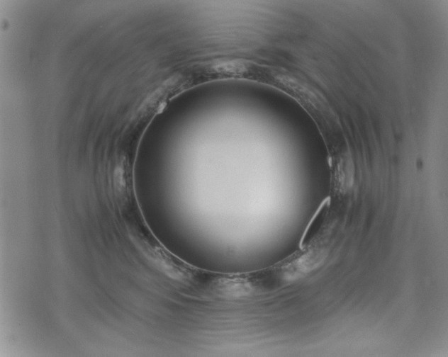 X0000073450424200608041032