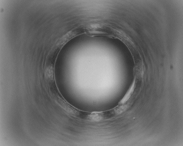 X0000073450425200608041032