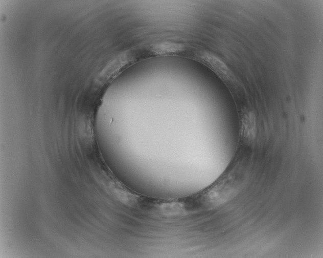 X0000073450426200608041032