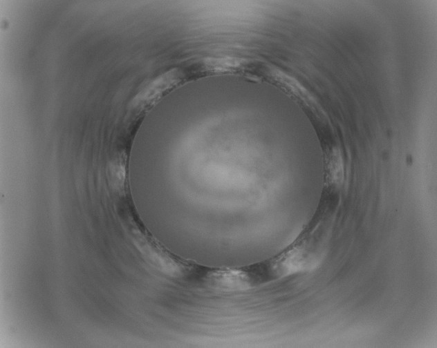 X0000073450427200608041032