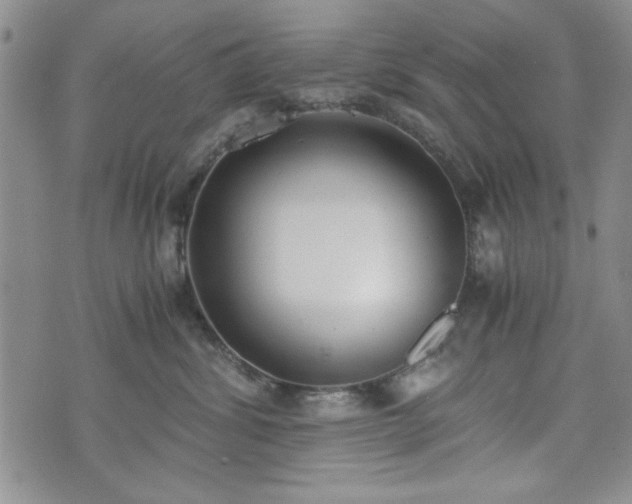 X0000073450428200608041032