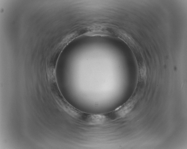 X0000073450429200608041032