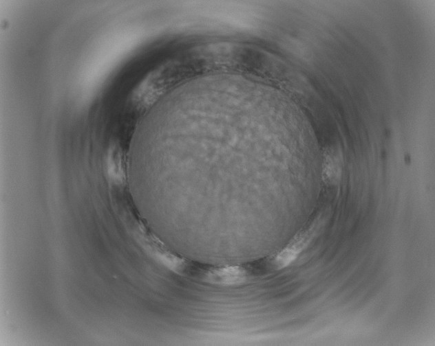 X0000073450431200608041032