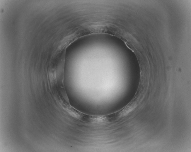 X0000073450432200608041032