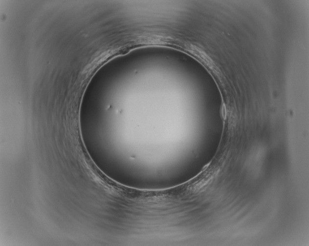 X0000073450433200608041031