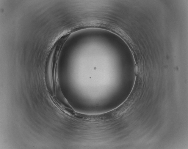 X0000073450434200608041031