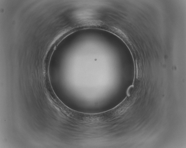 X0000073450435200608041031