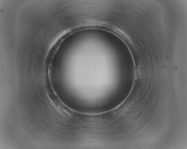 X0000073450436200608041031