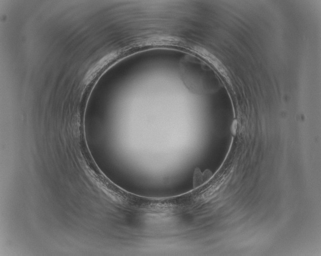 X0000073450437200608041031