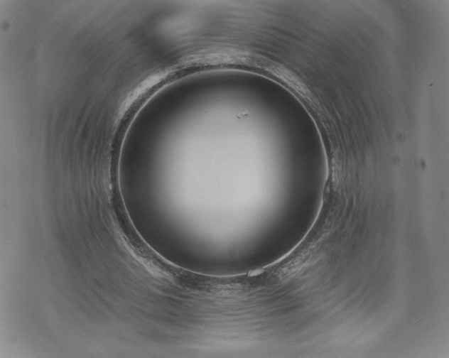 X0000073450438200608041031