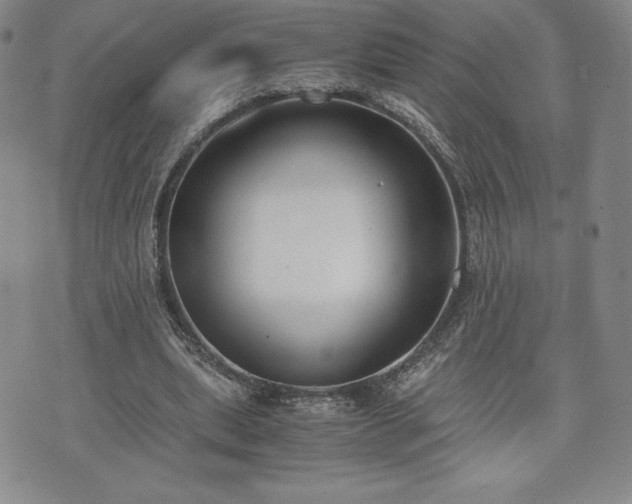 X0000073450439200608041031