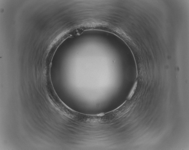 X0000073450440200608041031