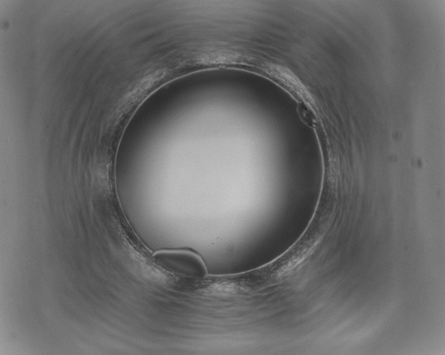 X0000073450441200608041031