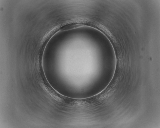 X0000073450442200608041031