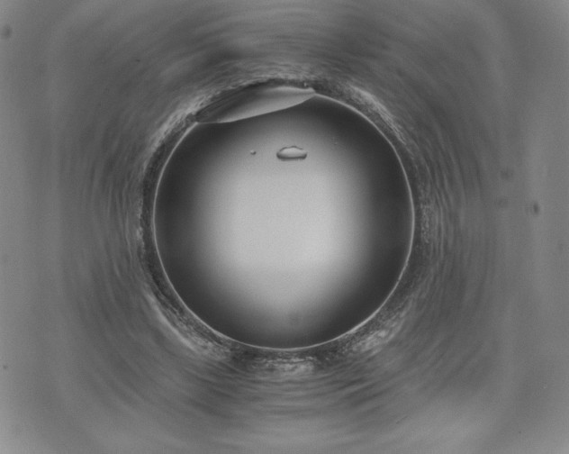 X0000073450443200608041032