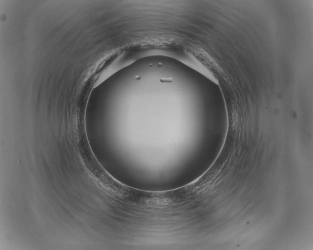 X0000073450444200608041032