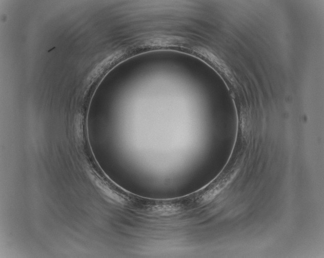 X0000073450445200608041032