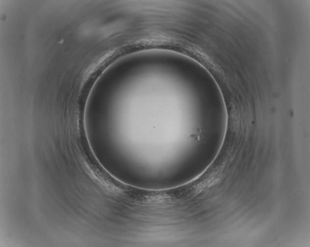 X0000073450446200608041032