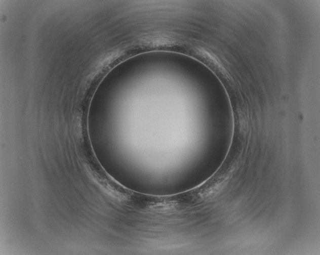 X0000073450447200608041032