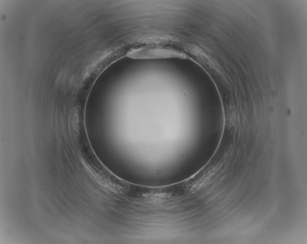 X0000073450448200608041032