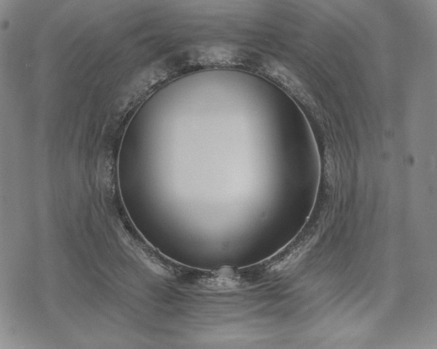 X0000073450449200608041032